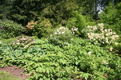 Killikus&reg; Fotographie